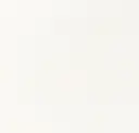 Paper White
