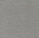 Silverfox