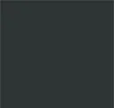 Black Hat