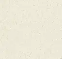 Clean Canvas