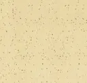 Natural Chamois