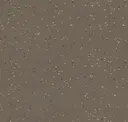 Volcanic Ash