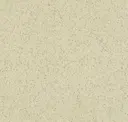 Vanilla