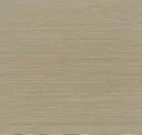 67004