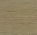 67010