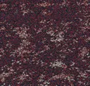 Amaranth Glow