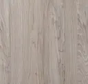 Sycamore
