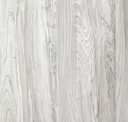 Silverbirch