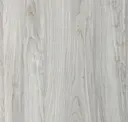Poplar