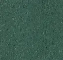 Basil Green