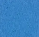Bodacious Blue