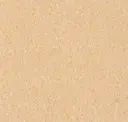 Doeskin Peach