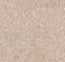 Hazelnut