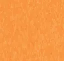 Screamin Pumpkin