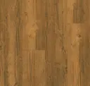 Fawn