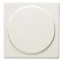 Paperwhite