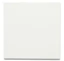Paperwhite