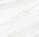 Timeless White
