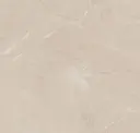 Elegant Beige