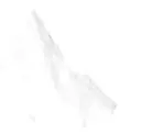 Brilliant White