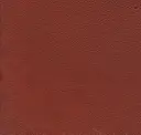Red Tide