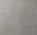 Fancy Gray