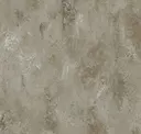 Lobo