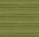 Str051
