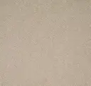 Sparrow