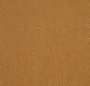 Gecko