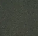 Serpentine