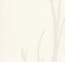 Opalite