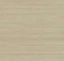 Sun Deck