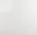 Plaster White