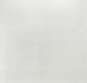 Plaster White