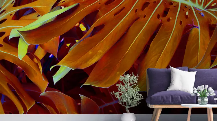 Install_01