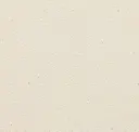 Beige Cream