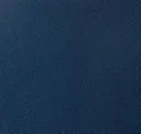 Blue Navy