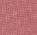 Bloom Pink