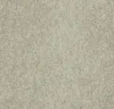 Grey Light
