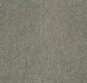 Olive Grey