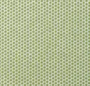 Electric Lime