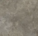 Terra
