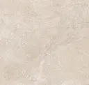 Sand Moon