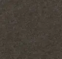 Truffle
