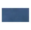 Little Boy Blue