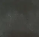 I See The Moon
