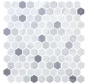 Blend Fossil