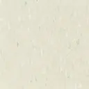 Palm