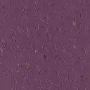 Deep Plum